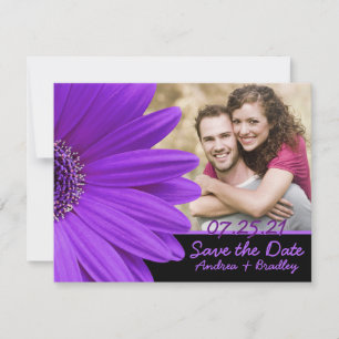 Purple Gerbera Daisy Flower Photo Wedding Save The Date