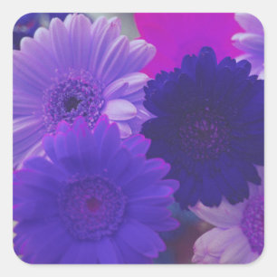 Purple Gerbera Daisy Flowers Art Sticker Decals