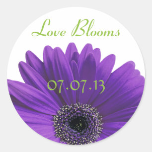 Purple Gerbera Daisy Love Blooms Stickers Mariage