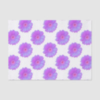 Purple gerbera daisy