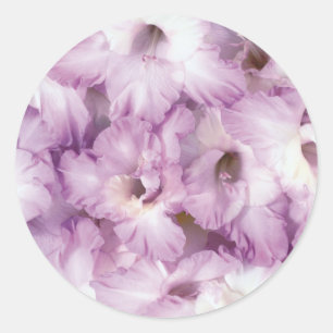 Purple Glads All Occasion Classic Round Sticker