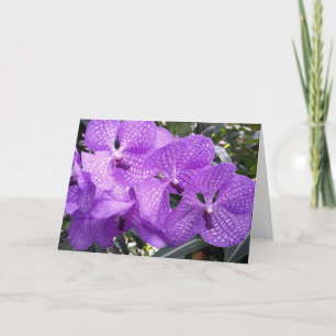 Purple glory in Giverny, France Card