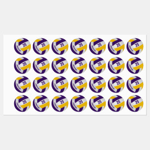 purple gold team colours boys girls volleyball