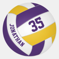 purple gold team colours boys girls volleyball
