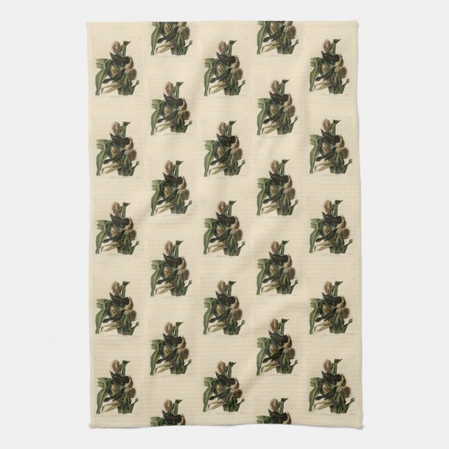 Purple Grakle (Grackle) Audubon's Birds of America Kitchen Towel (Vertical)