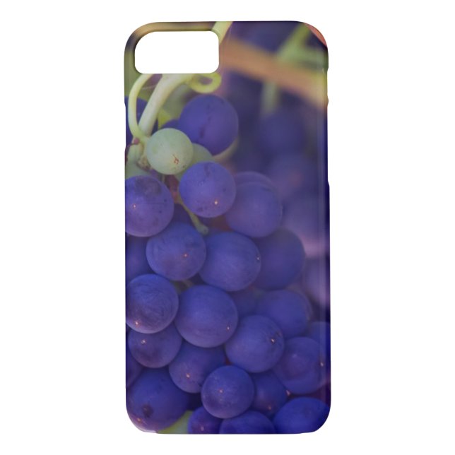 Purple Grape Bunches On The Vine Case-Mate iPhone Case (Back)