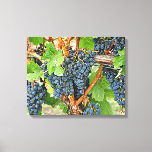 Purple grapes canvas print
