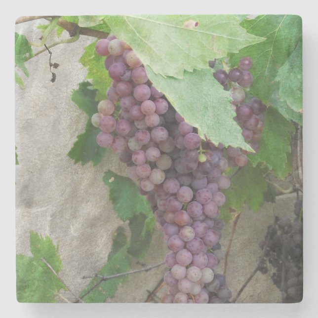 Purple Grapes on the Vine Coaster (Front)