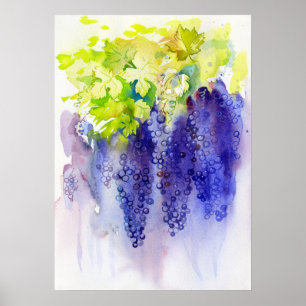 Purple Grapes Watercolor Vineyard Kitchen Poster