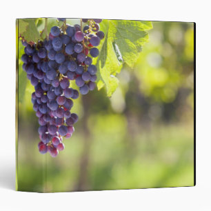 Purple grapevine binder