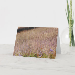 Purple Grass and Wildflowers Card