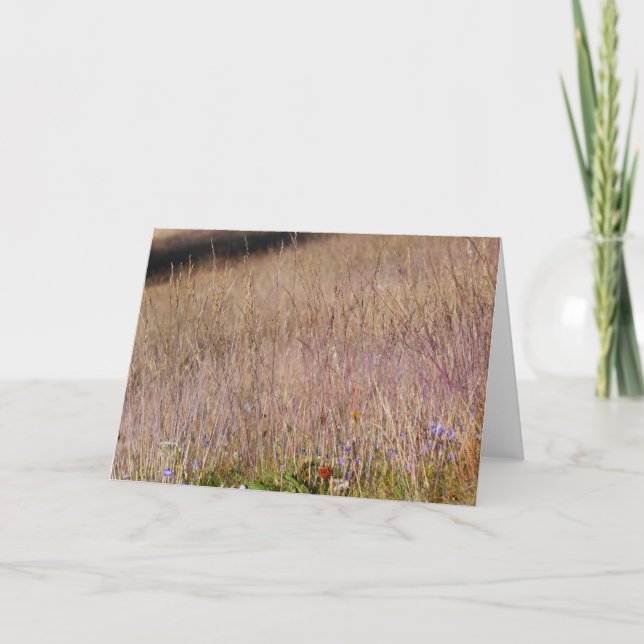 Purple Grass and Wildflowers Card (Front)