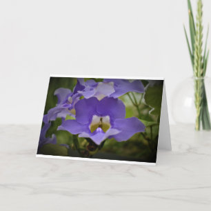 Purple & Green, card