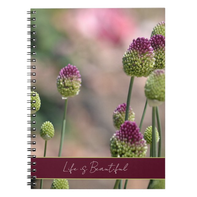 Purple Green Clover Flowers   Notebook (Front)