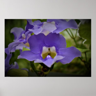 Purple & Green, Poster