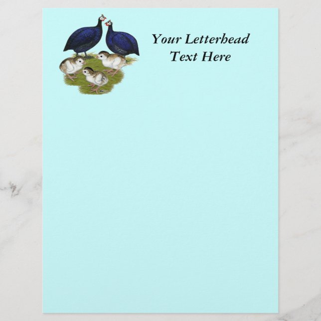 Purple Guinea Family (Front)