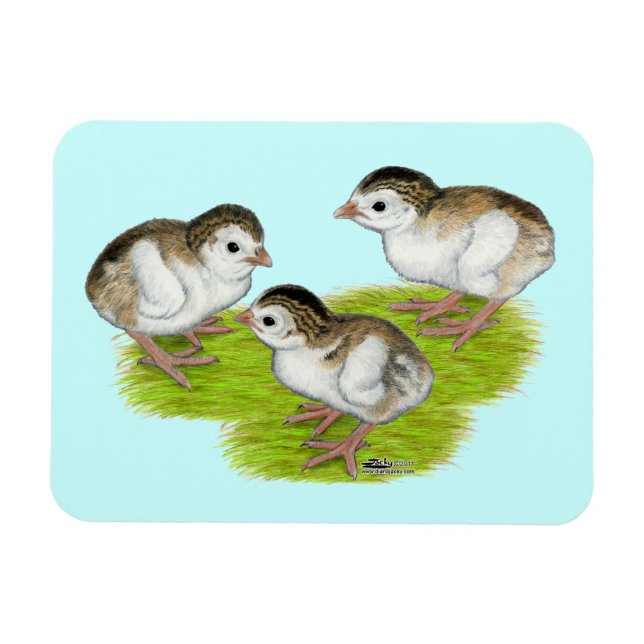 Purple Guinea Keets Magnet (Horizontal)