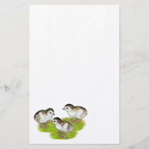 Purple Guinea Keets Stationery