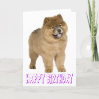 Purple Happy Birthday Chow Chow Brown Puppy Dog