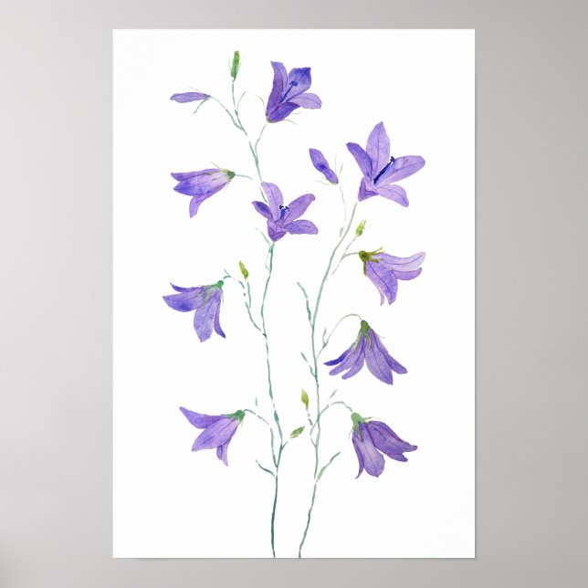 purple harebell wildflower watercolor poster (Front)