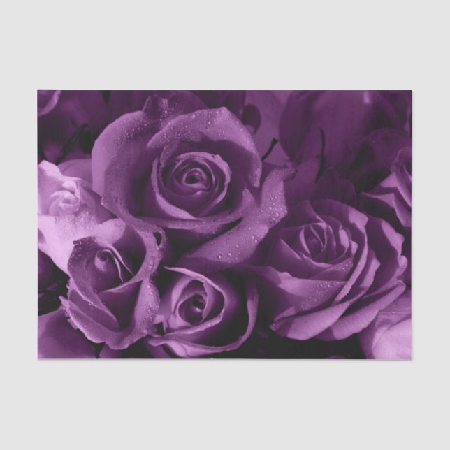 Purple Haze Rose - Custom 10lb Tissue Paper, White Tissue Paper (Front)