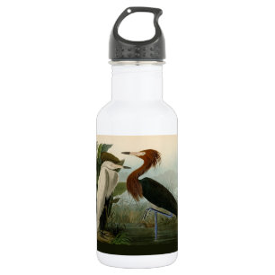 Purple Heron Audubon Bird Wildlife Painting 532 Ml Water Bottle