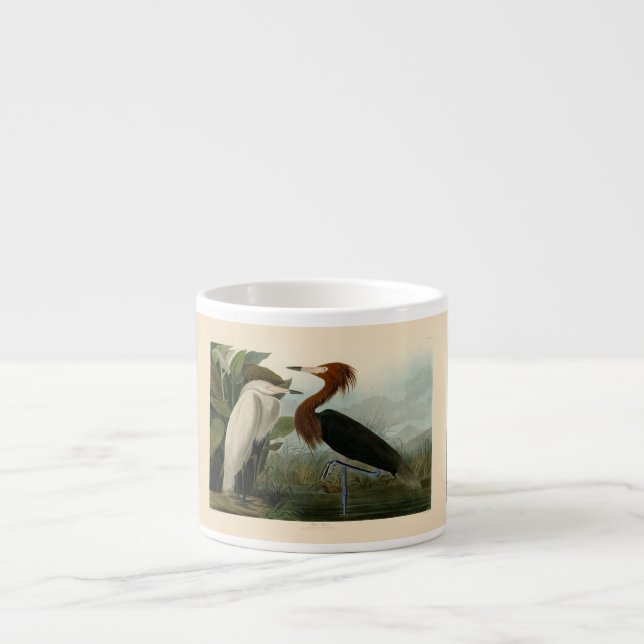 Purple Heron Audubon Bird Wildlife Painting Espresso Cup (Front)