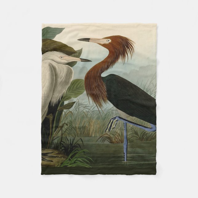 Purple Heron Audubon Bird Wildlife Painting Fleece Blanket (Front)