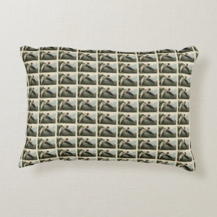 Purple Heron - from Audubon's Birds of America Accent Pillow