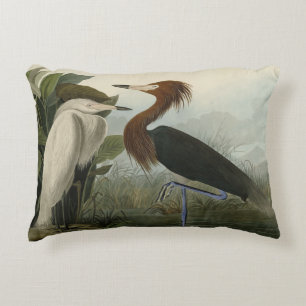 Purple Heron - from Audubon's Birds of America Accent Pillow