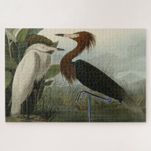 Purple Heron - from Audubon's Birds of America Jigsaw Puzzle