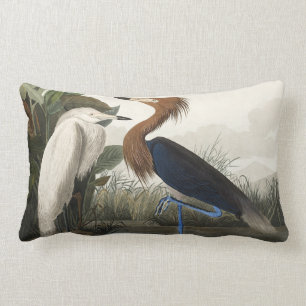 Purple Heron from Birds of America Lumbar Pillow