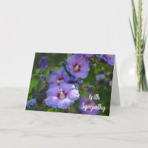 Purple Hibiscus Flower With Sympathy