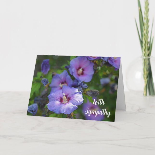 Purple Hibiscus Flower With Sympathy Card (Front)