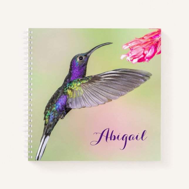 Purple Hummingbird Beautiful Personalized Notebook (Front)
