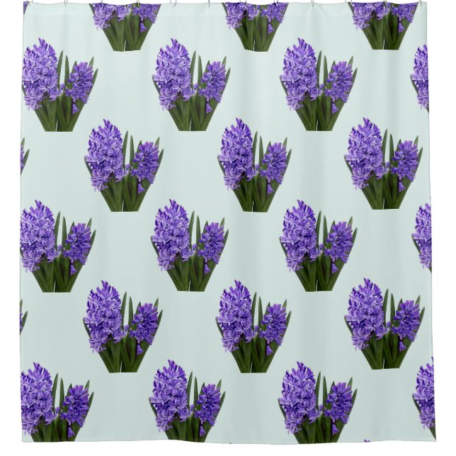 Purple Hyacinth Duo (Front)