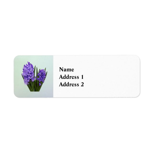 Purple Hyacinth Duo (Front)