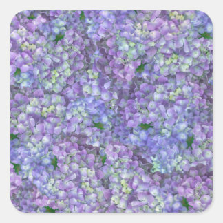 Purple hydrangea flowers square sticker