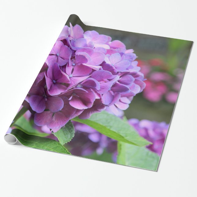 Purple Hydrangea Glossy Wrapping Paper (Unrolled)