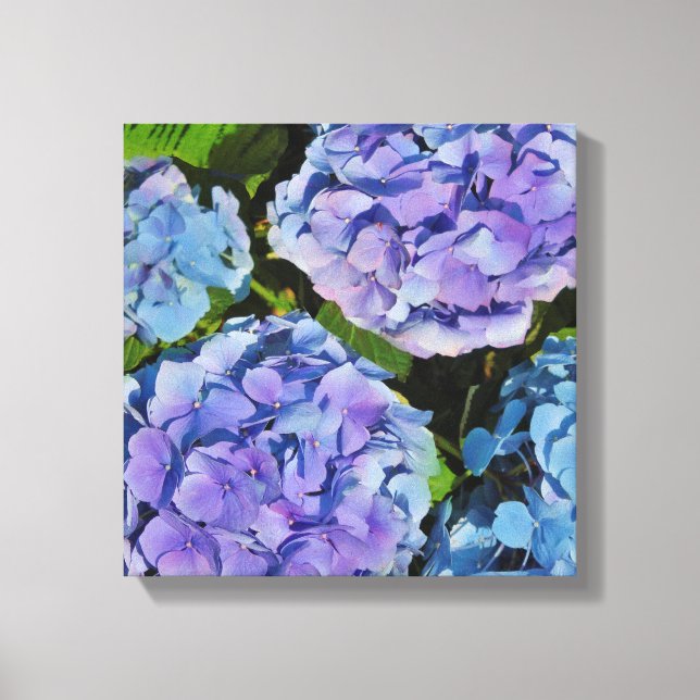 Purple Hydrangea Plant Canvas Print (Front)