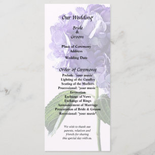 Purple Hydrangea With Leaves Program