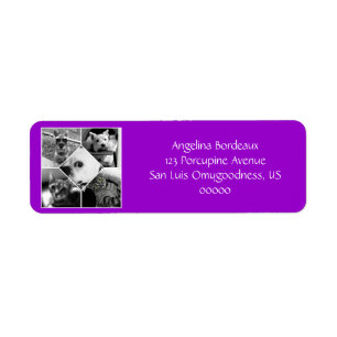 Purple Instagram Collage Adresse de retour