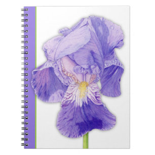 Purple Iris 2 Notebook