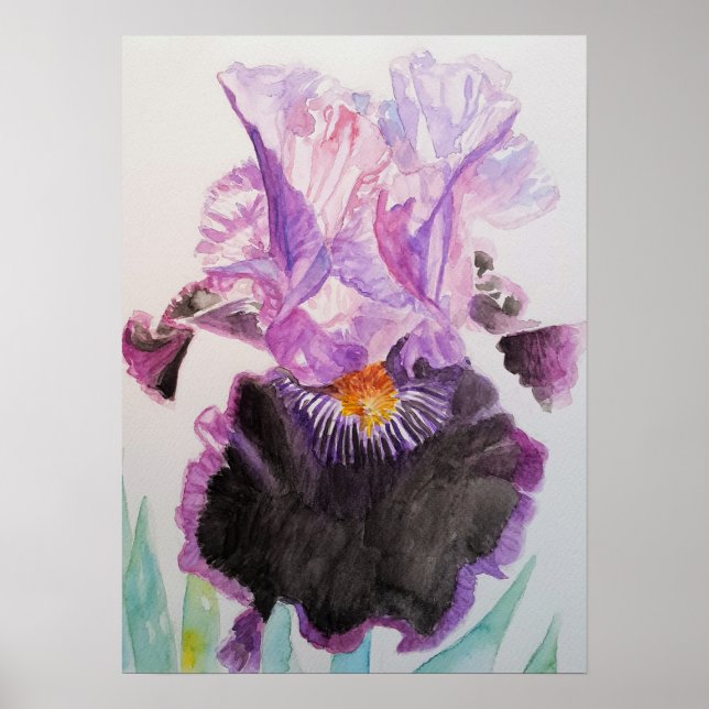 Purple Iris Art Floral Flowers Watercolor Poster (Front)