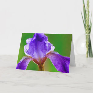 Purple Iris Birthday Card