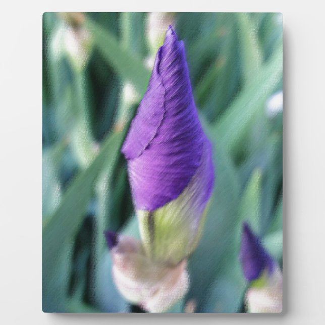purple iris bud plaque (Front)