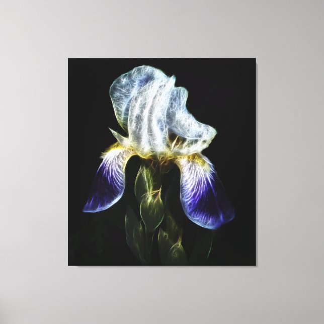 Purple Iris Canvas Print (Front)