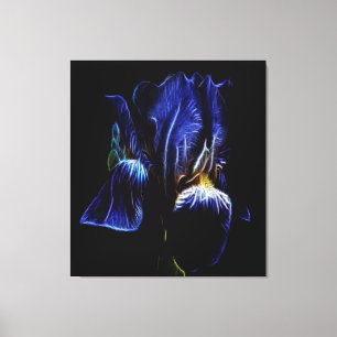 Purple Iris Canvas Print