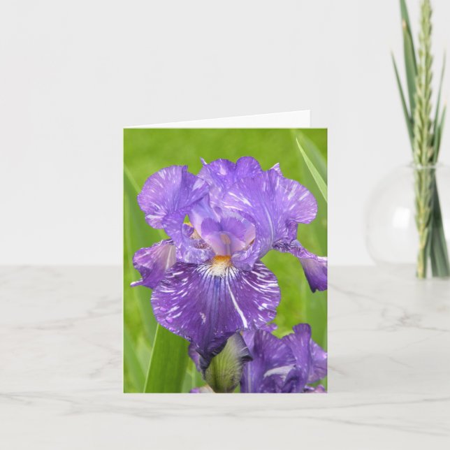 Purple Iris Card (Front)