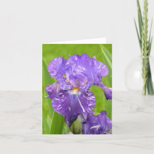 Purple Iris Card